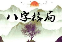 属龙人养什么植物最旺